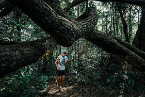 BIB: 
                            <button type="button" onclick="openModal(25663445)" class="btn btn-primary btn-sm float-right btn-popup" data-toggle="modal" data-target=".modal-high-quality">
                        <i class="fas fa-shopping-cart"></i> Add to Cart
                    </button>
                                            <button type="button" onclick="isThisMe(25663445, true)" class="btn btn-success btn-sm float-right btn-popup btn-isme hidden" data-toggle="tooltip" data-placement="bottom" title="นี่คือรูปของคุณใช่ไหม คลิกที่นี่เพื่อเอาเข้าอัลบั้ม">
                        <i class="fas fa-plus"></i> Add to album
                    </button>
                    <button type="button" onclick="isThisMe(25663445, false)" class="btn btn-warning btn-sm float-right btn-popup btn-isnotme hidden">
                        <i class="fas fa-ban"></i> Remove from album
                    </button>